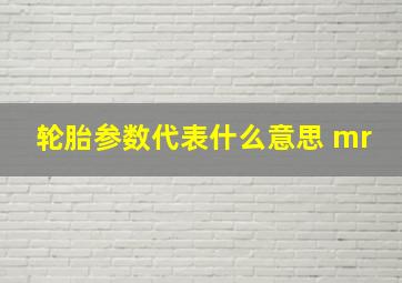 轮胎参数代表什么意思 mr